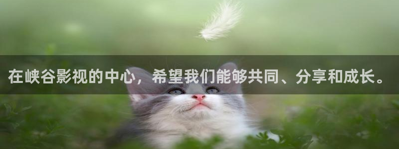 qiezi 茄子视频