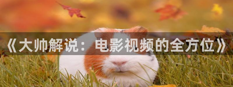 茄子视频色版