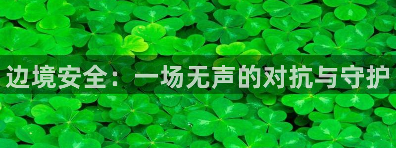 大茄子视频
