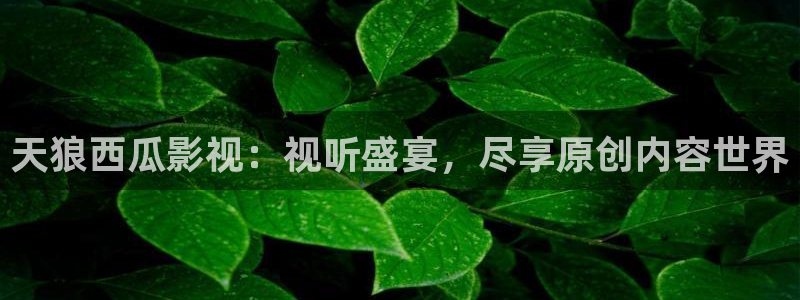 qiezi茄子视频