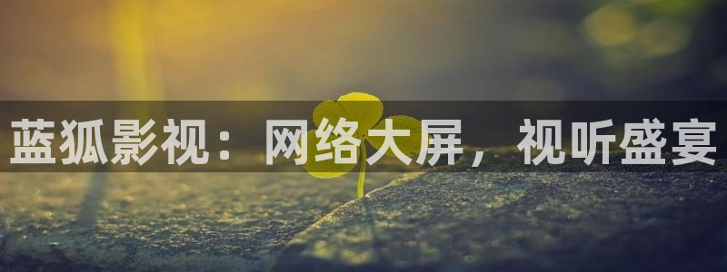 茄子视频a