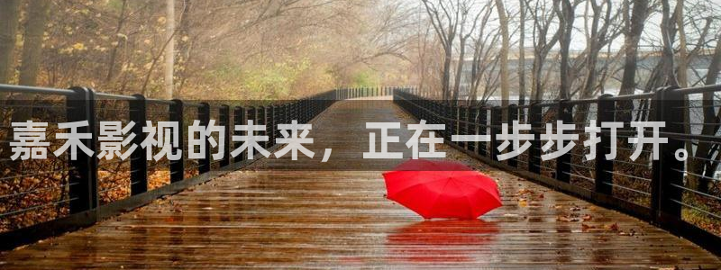 茄子视频a