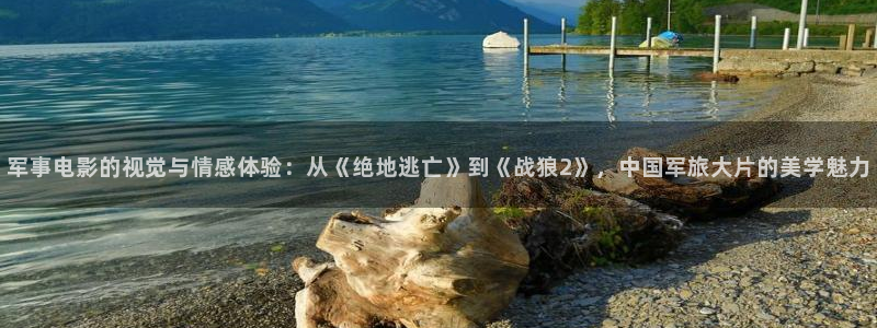 茄子视频?