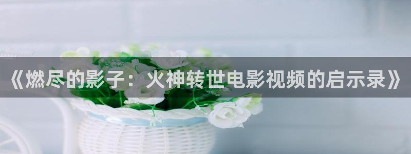 茄子视频