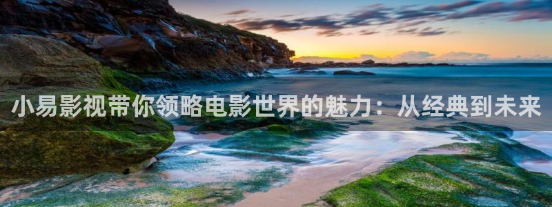 丝瓜茄子视频在线观看