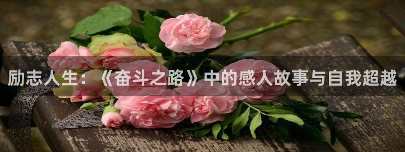 樱桃茄子视频