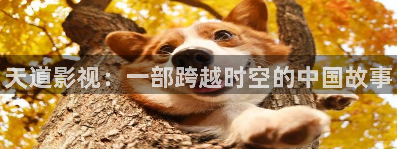茄子视频www