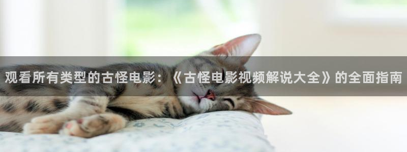 茄子视频色版