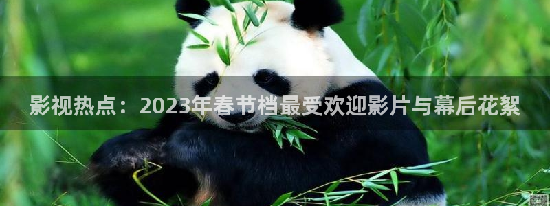 茄子视频qz