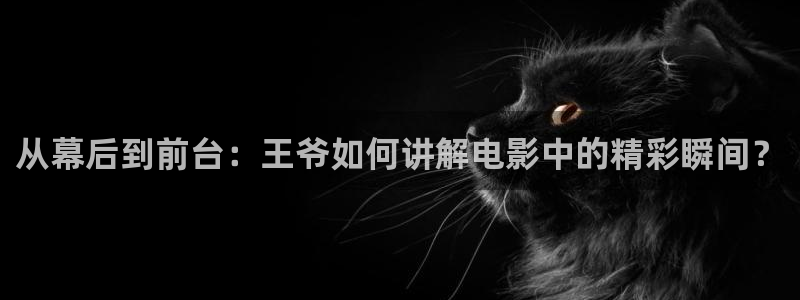 茄子视频a