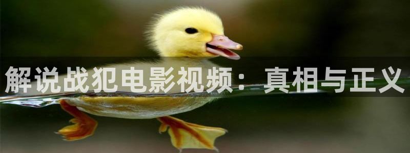 茄子视频
