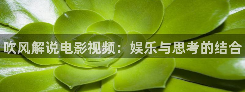 大茄子视频