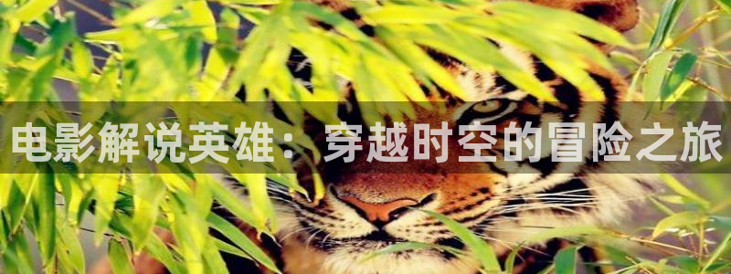 樱桃茄子视频：电影解说英雄：穿越时空的冒险之旅