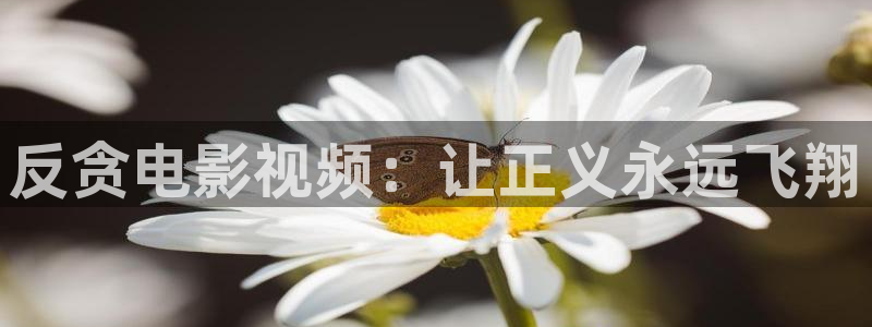 qiezi茄子视频：反贪电影视频：让正义永远飞翔