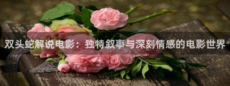 茄子视频?：双头蛇解说电影：独特叙事与深刻情感的电影世界