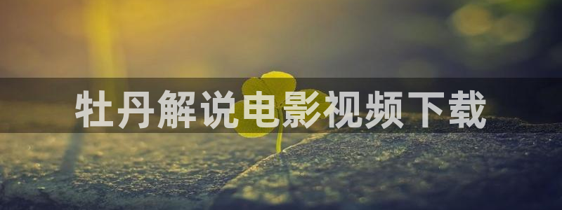 茄子视频18：牡丹解说电影视频下载