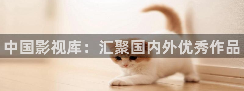 茄子视频18：中国影视库：汇聚国内外优秀作品