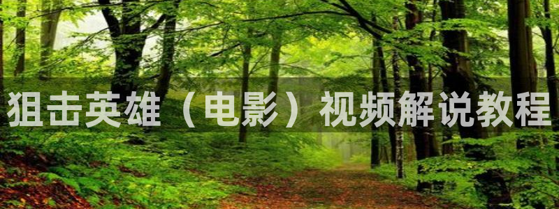 大茄子视频：狙击英雄（电影）视频解说教程