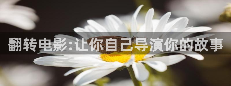 茄子视频18：翻转电影:让你自己导演你的故事