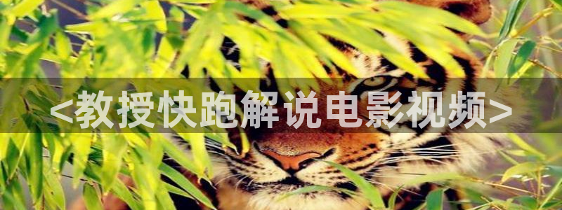 樱桃茄子视频：<教授快跑解说电影视频>