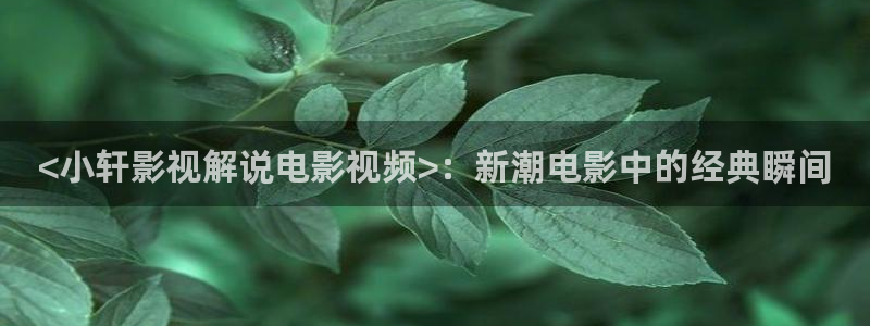 茄子视频?：<小轩影视解说电影视频>：新潮电影中的经典瞬间