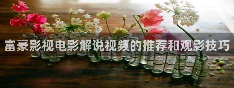 qiezi茄子视频：富豪影视电影解说视频的推荐和观影技巧