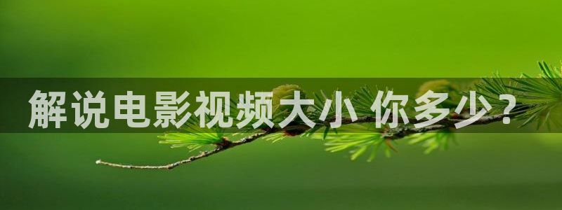 茄子视频视频：解说电影视频大小 你多少？