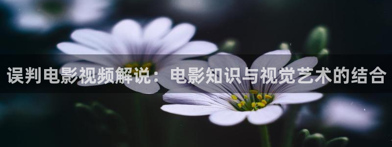 茄子视频视频：误判电影视频解说：电影知识与视觉艺术的结合