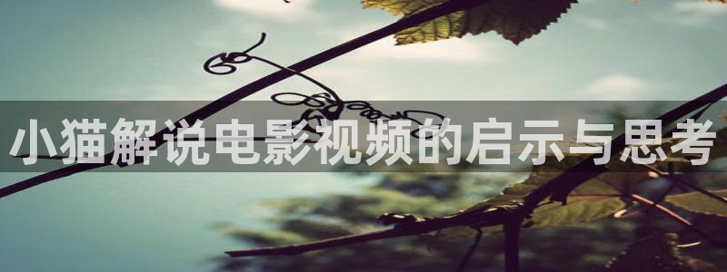 茄子视频?：小猫解说电影视频的启示与思考