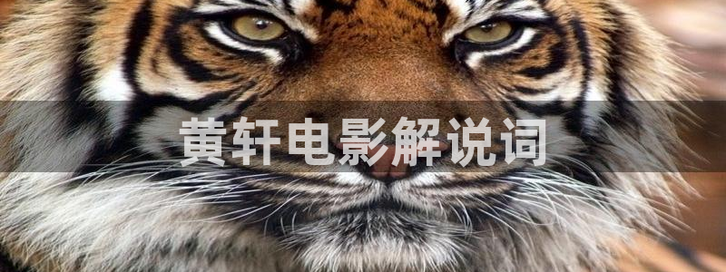 茄子视频www：黄轩电影解说词
