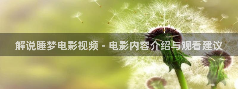 丝瓜茄子视频在线观看