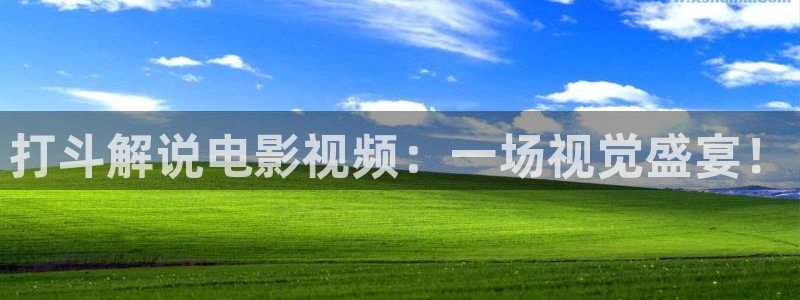 茄子视频视频：打斗解说电影视频：一场视觉盛宴！