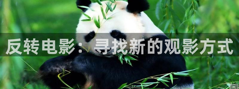 茄子视频a：反转电影：寻找新的观影方式