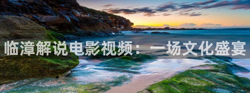 茄子视频www：临漳解说电影视频：一场文化盛宴