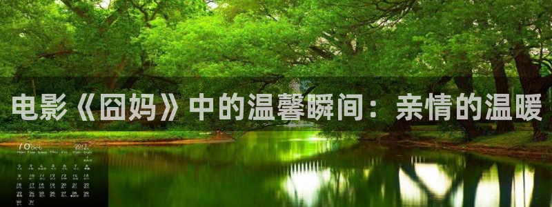 茄子视频qz