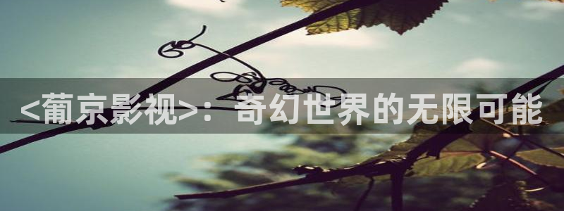 茄子视频视频