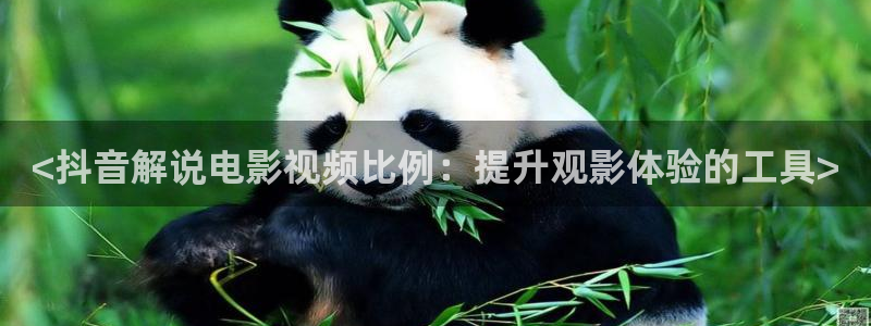 茄子视频