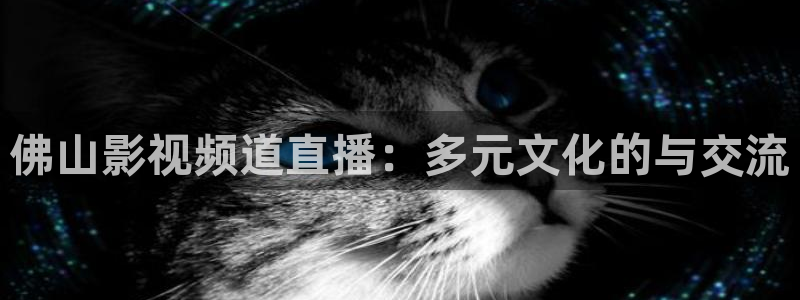 91茄子视频