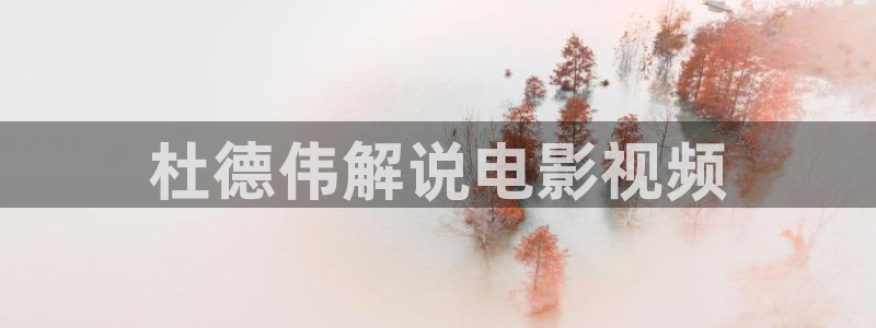 茄子视频视频