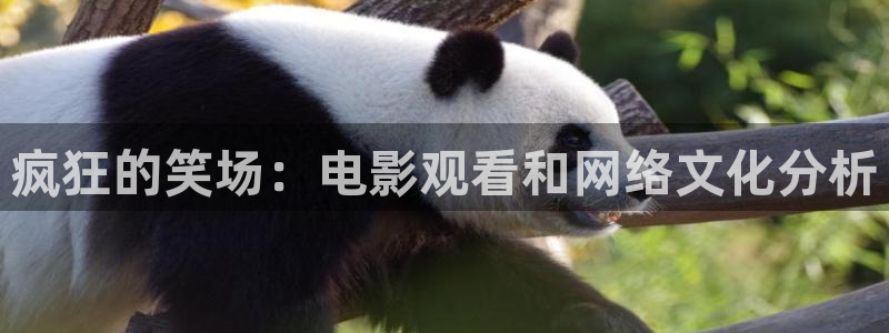 91茄子视频