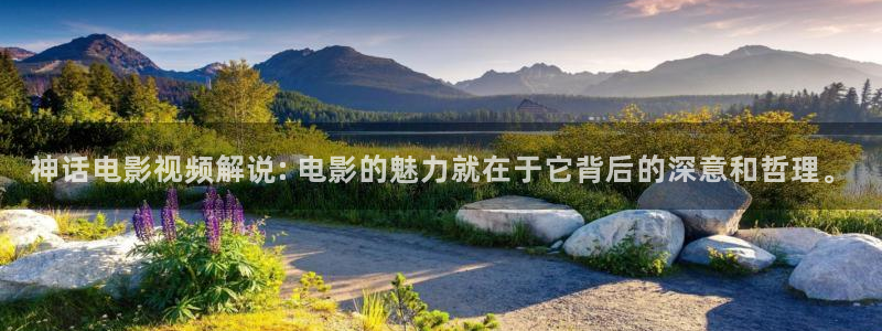茄子视频视频