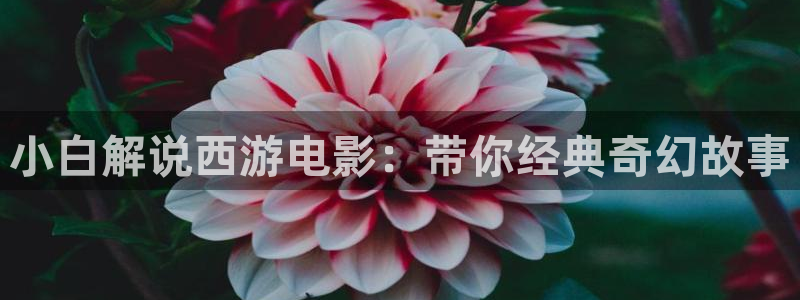 茄子视频了