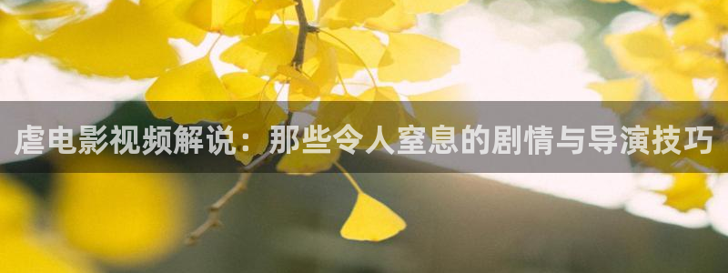 四虎茄子视频