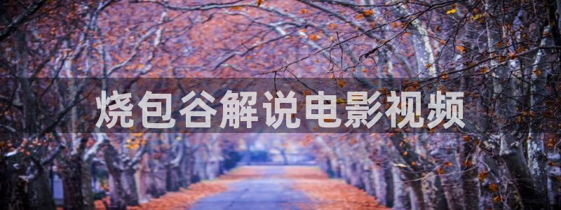 茄子视频qz