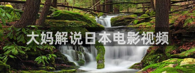 茄子视频色版