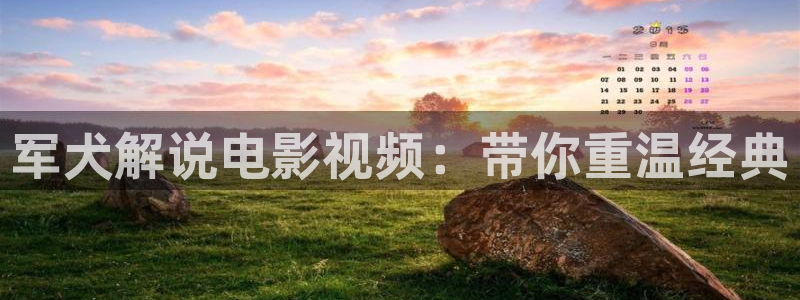 樱桃茄子视频