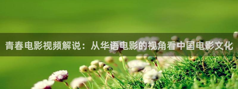 茄子视频www