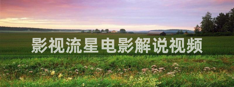 茄子视频
