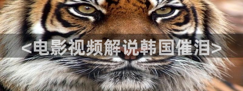 丝瓜茄子视频在线观看：<电影视频解说韩国催泪>
