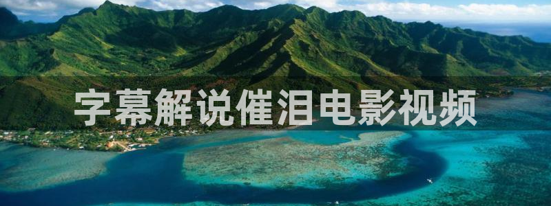 茄子视频色版：字幕解说催泪电影视频